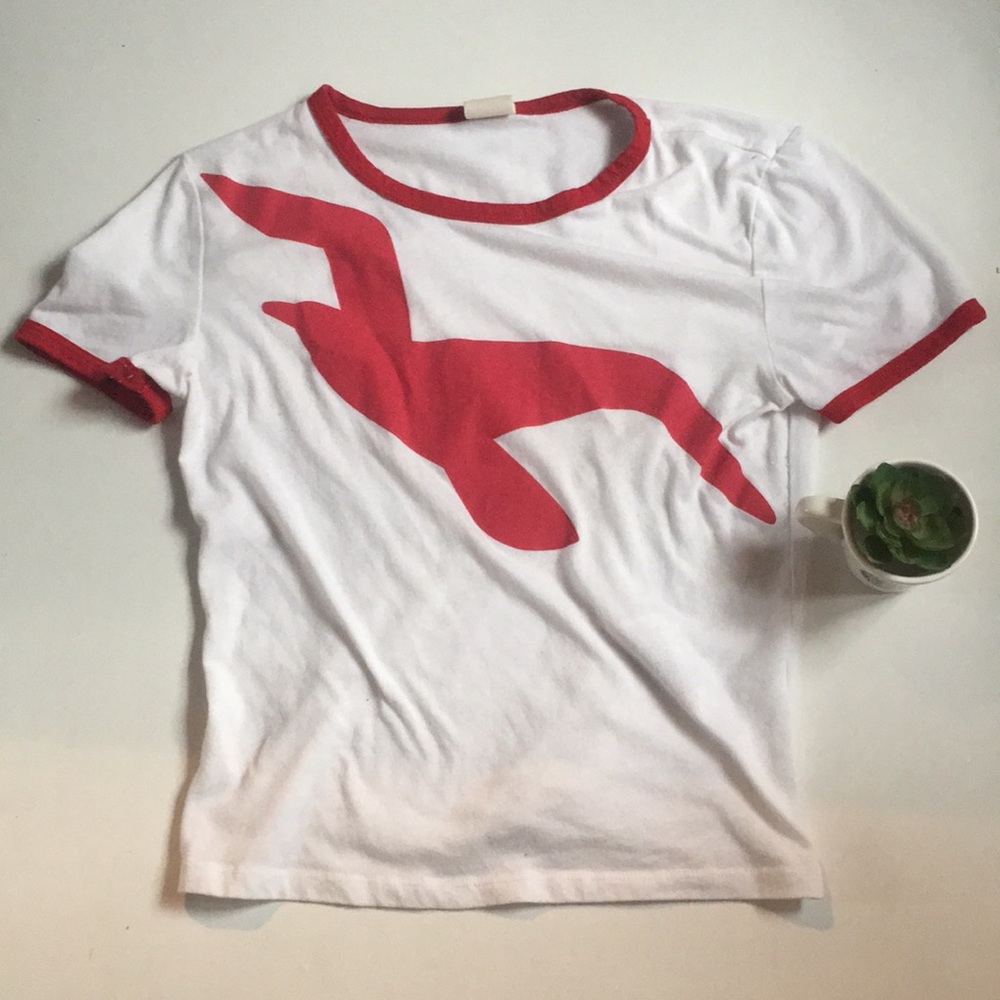Hollister Tee